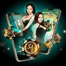 fns122